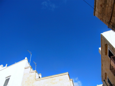 a0082693_1019395.jpg