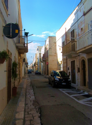 a0082693_10281771.jpg