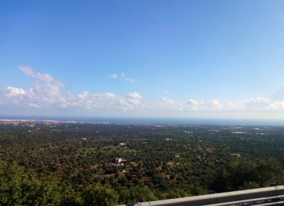 a0082693_1037018.jpg