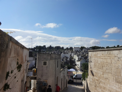a0082693_175778.jpg