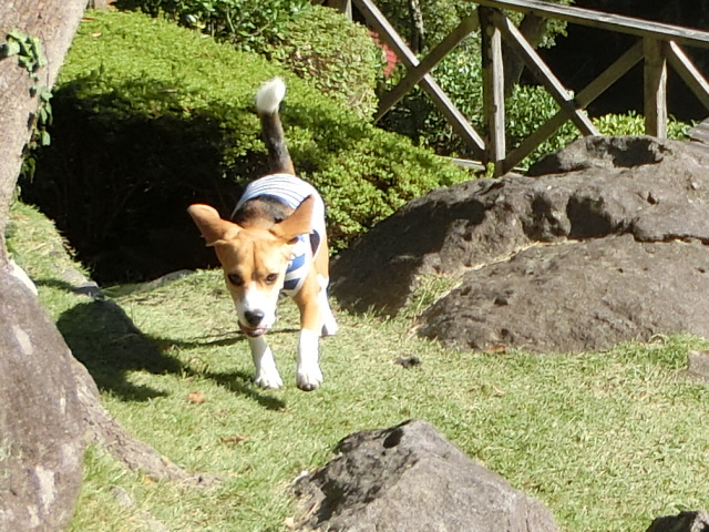 a0319693_8345174.jpg