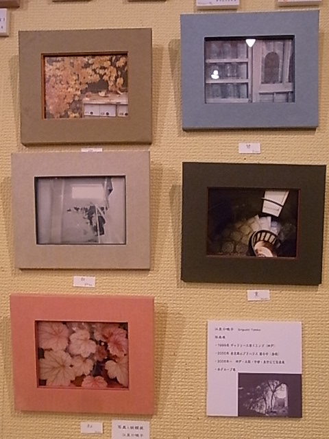 ちいさなキャンバスサイズ展最終日。インコアイスについて_d0322493_2352990.jpg