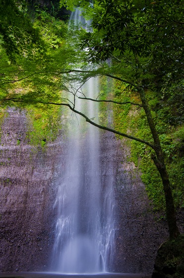 e0176993_6595636.jpg