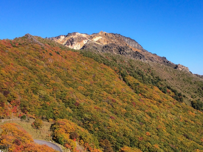 恵山秋景_f0137097_722246.jpg