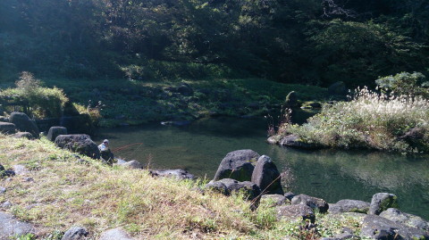 a0104199_18451973.jpg