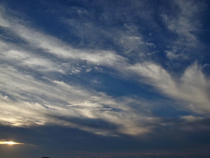 c0049299_22321866.jpg