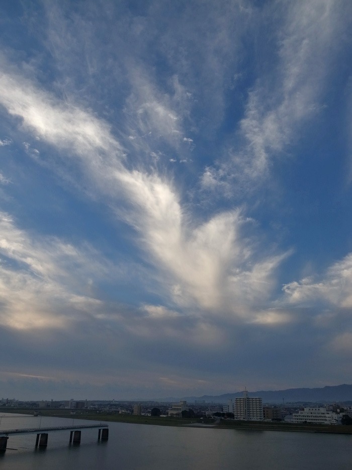 c0049299_22322342.jpg