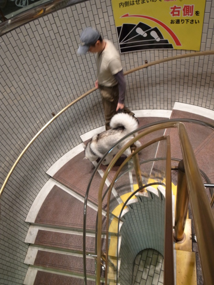 c0049299_22325629.jpg