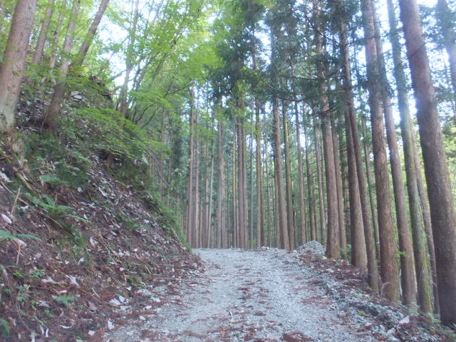 川上岳（かおれだけ）_a0271502_14325538.jpg