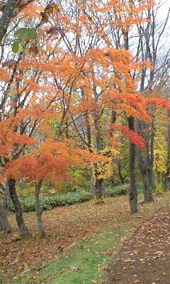b0073602_16173917.jpg
