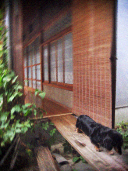 d0077603_1746508.jpg