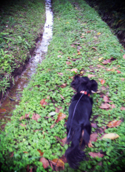 d0077603_19224337.jpg