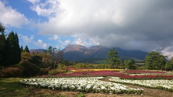 秋の花公園へ_e0304003_06051641.jpg