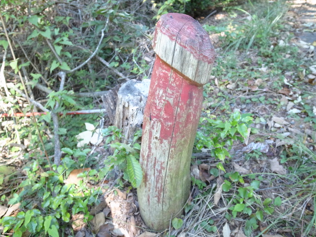 f0197703_184678.jpg