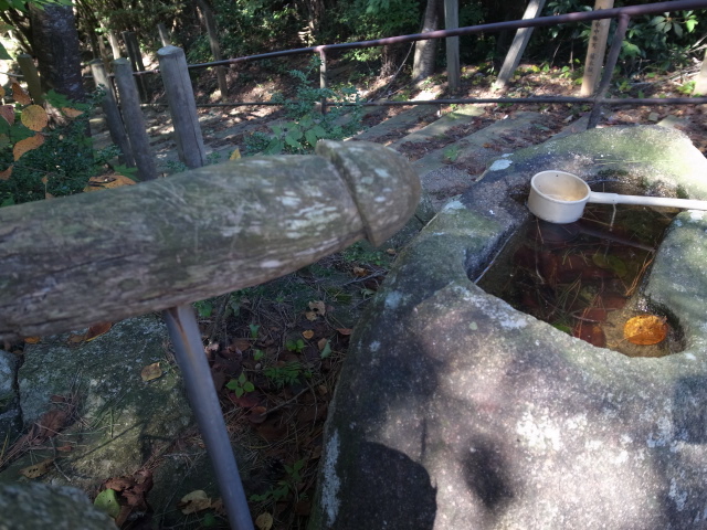 f0197703_18592076.jpg