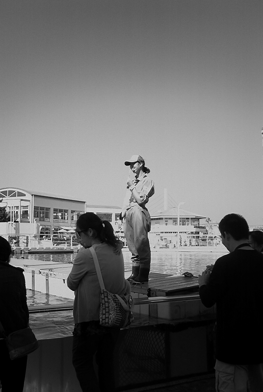 b0336805_17085611.jpg