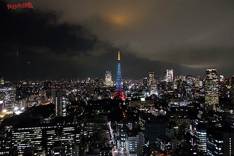 TOKYO TOWER GREEN DIAMOND-VEIL 01_b0134907_16565999.jpg