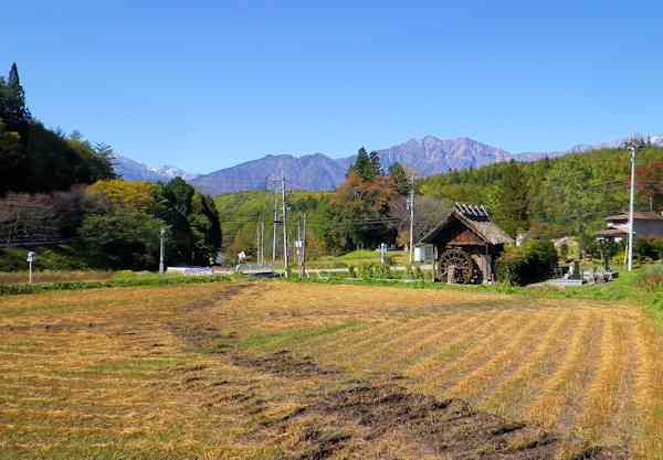 久々のやまきちキャンプ_b0000209_5201941.jpg