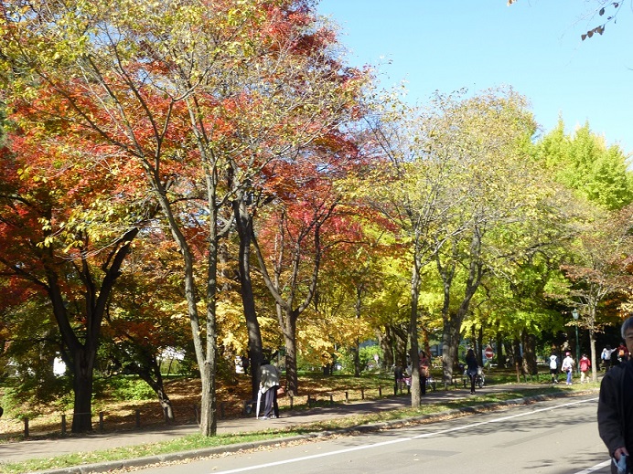 b0198109_2362620.jpg