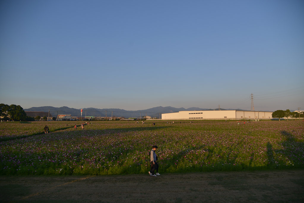 a0208113_8574125.jpg