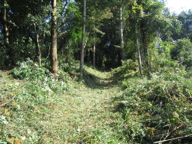 c0237313_84938.jpg