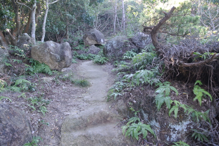 b0291016_20435867.jpg