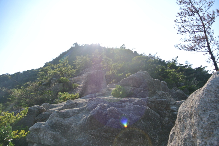 b0291016_20444145.jpg