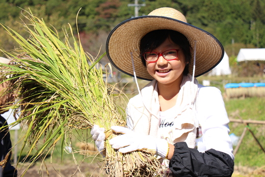 真っ赤なお米の収穫祭_d0063218_12451150.jpg