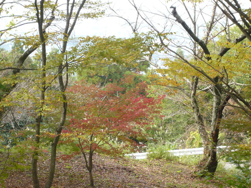a0238019_19415744.jpg