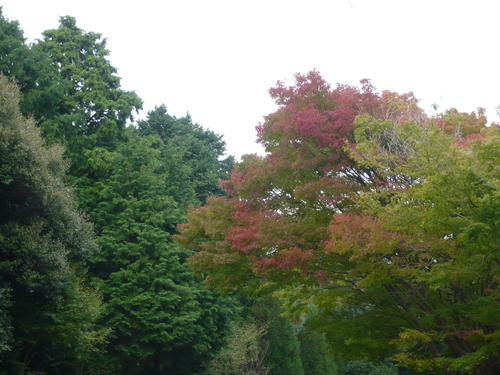 a0238019_19462799.jpg