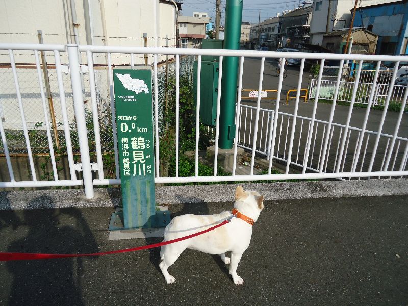 いつもの散歩道。_b0248920_22332321.jpg