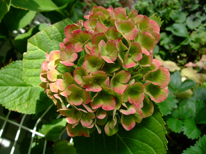 f0243726_1232034.jpg
