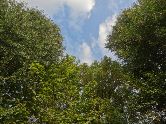 e0016828_11143710.jpg
