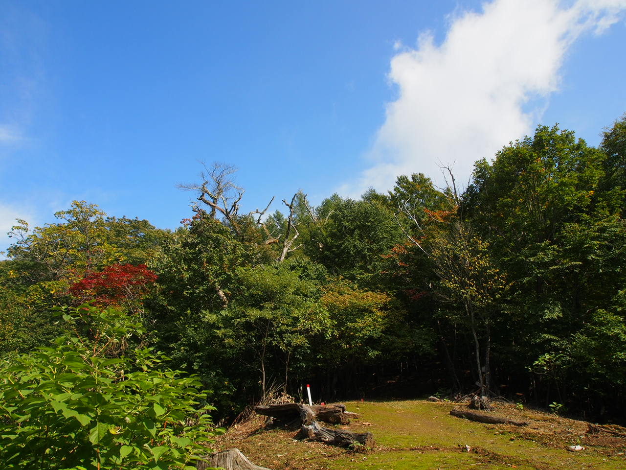 紅葉手前の牛の寝通り_f0353034_21210631.jpg