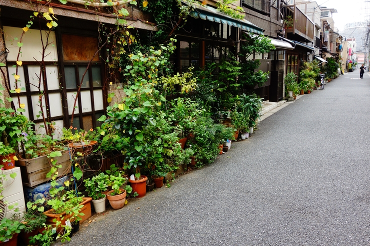 谷根千 迷宮案内 その5～根津神社_a0287336_2230313.jpg