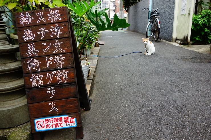 谷根千 迷宮案内 その5～根津神社_a0287336_22443566.jpg