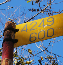 d0235336_2382260.png