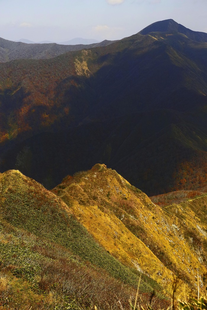 d0237340_219537.jpg