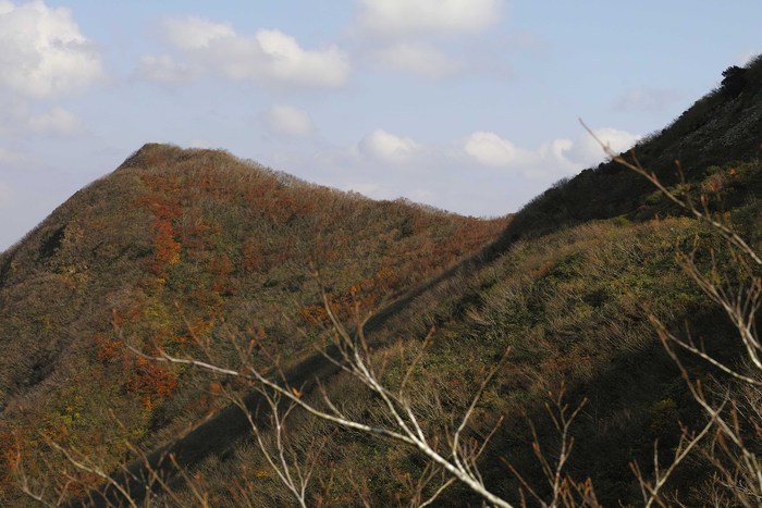 d0237340_75166.jpg