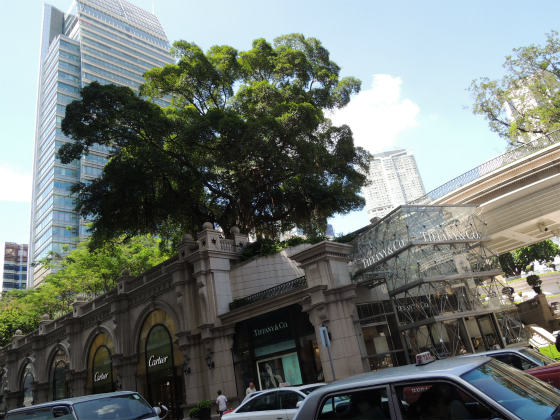 e0248743_6384817.jpg