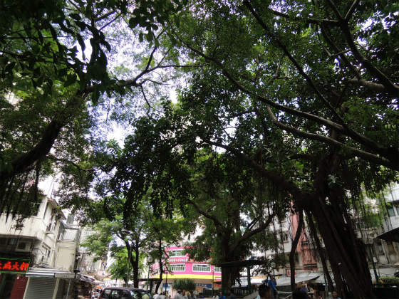e0248743_6532223.jpg