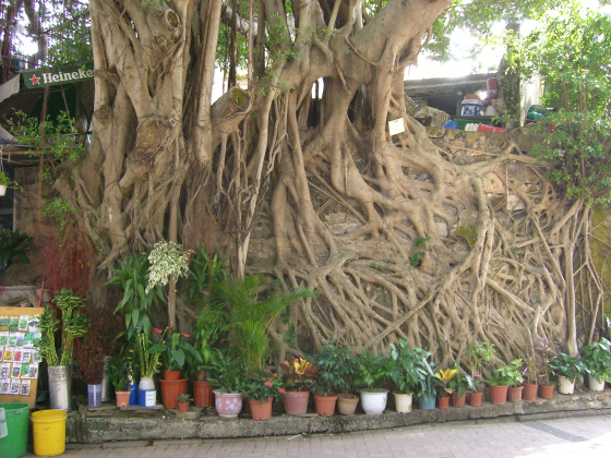 e0248743_751526.jpg