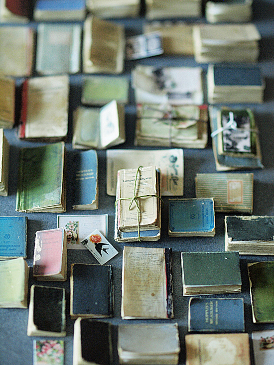 miniature* 洋書 と、休日_e0172847_1514188.jpg