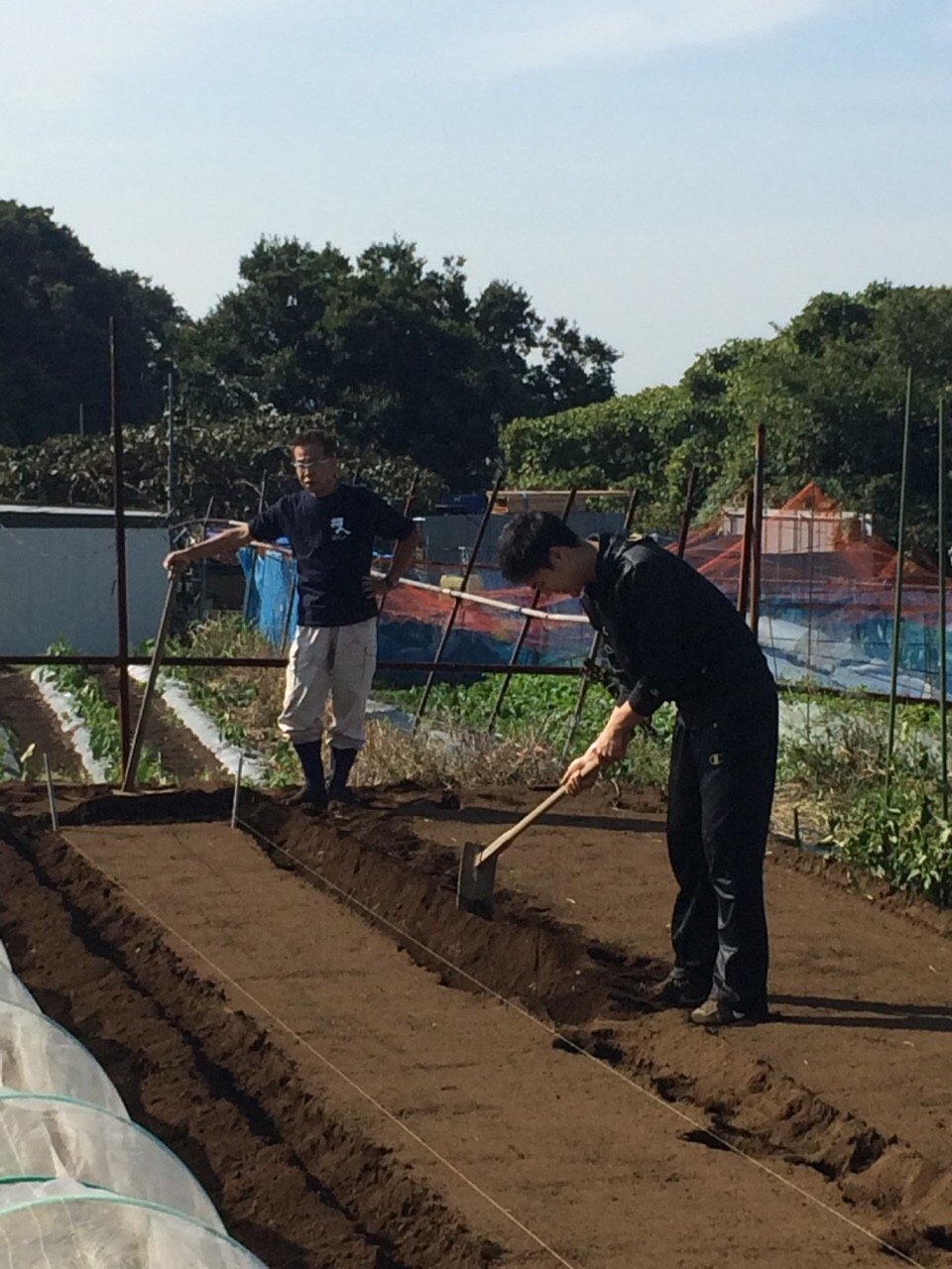 今朝は　ＫさんＳさん　飯田＆永藤の４名　　蚕豆畝を作ります_c0222448_22015802.jpg