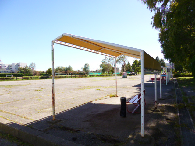 d0106951_207817.jpg