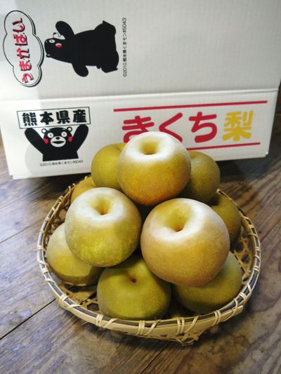 熊本梨 来年のバランスを見て枝抜き作業_a0254656_183095.jpg
