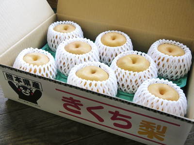 熊本梨 来年のバランスを見て枝抜き作業_a0254656_19185610.jpg