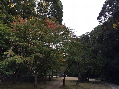 e0170558_00313690.jpg