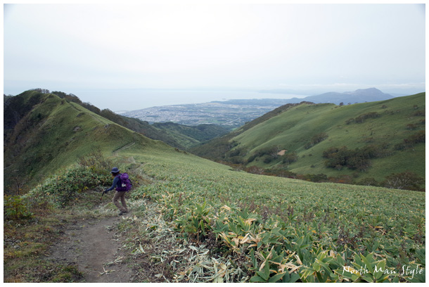 広い山道_a0114060_22381683.jpg