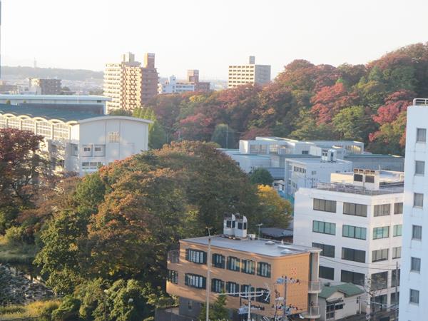【10月の秋田旅行】⑦秋田西武横の秋田ビューホテル】_c0042960_21454313.jpg